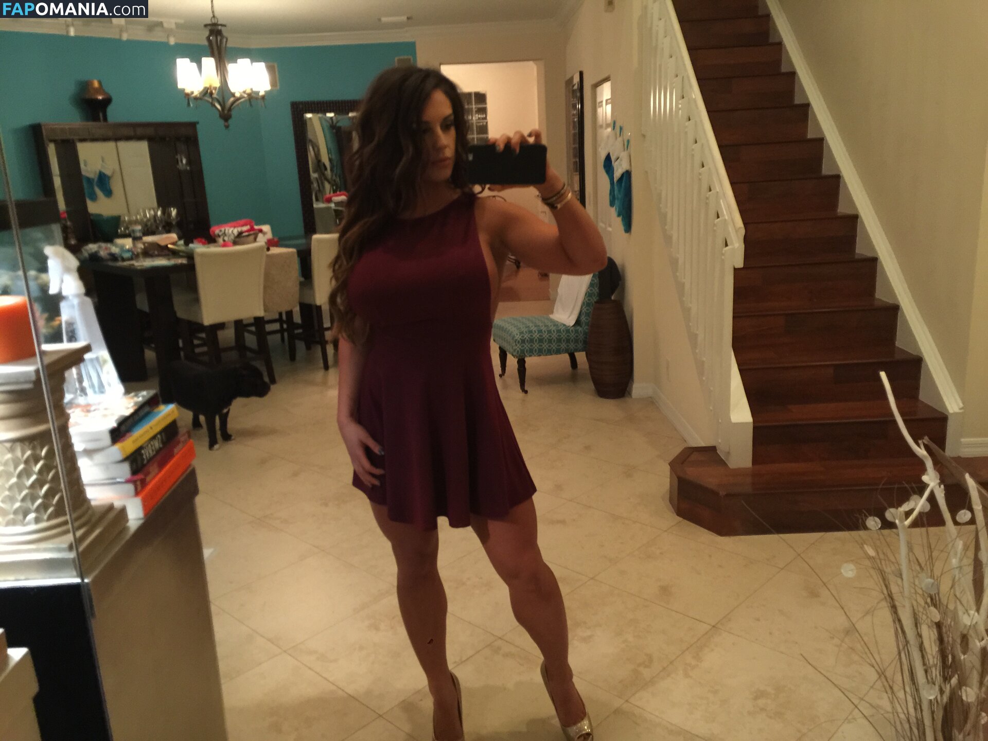 Kaitlyn WWE Nu Foto vazada #35