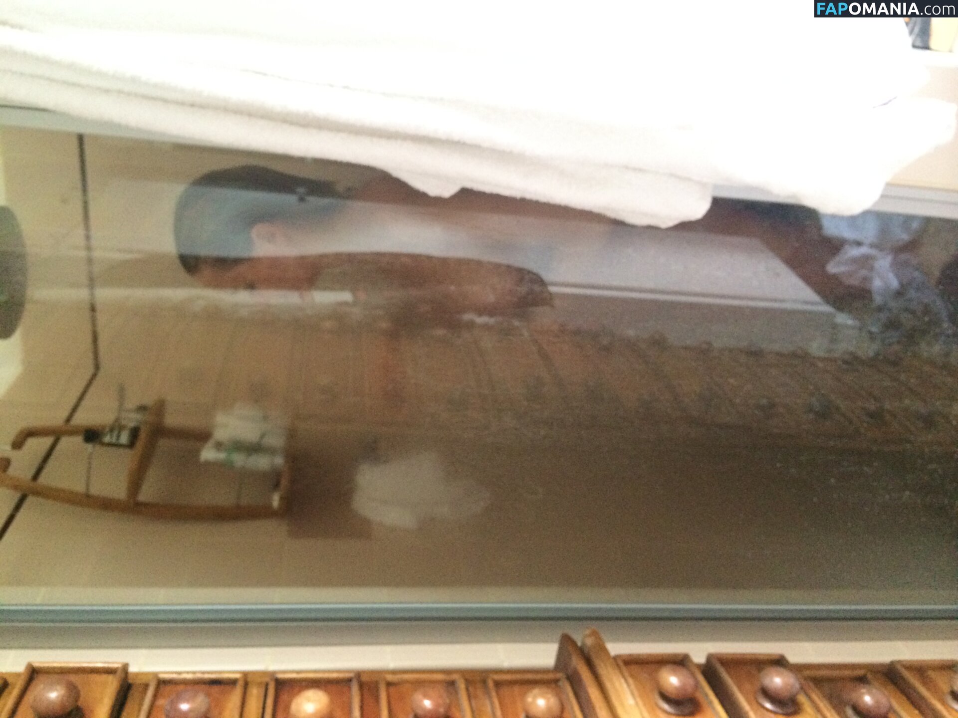 Lara Bingle Nu Foto vazada #245