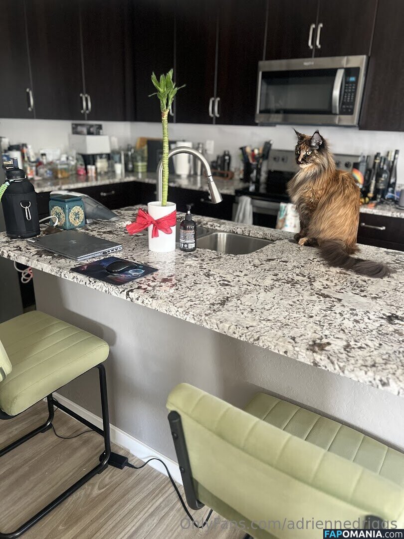 adrienne.driggs / adriennedriggs Nu OnlyFans  Foto vazada #9