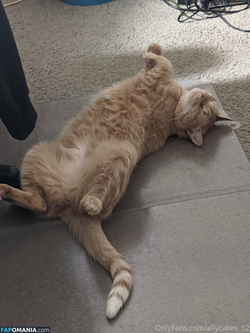 allycakes_12 Nu OnlyFans  Foto vazada #3