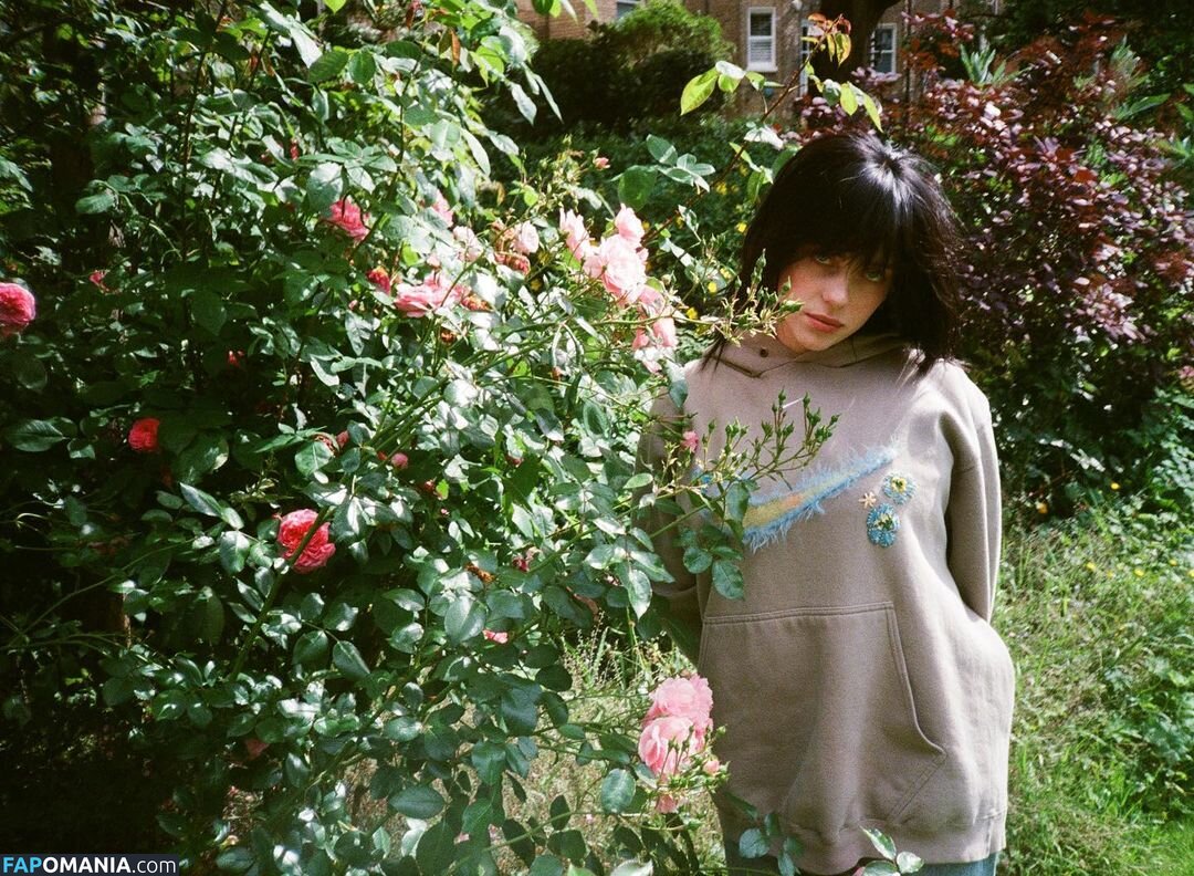 Billie Eilish / Fake / billeeilish / billieeilish Nu OnlyFans  Foto vazada #2228