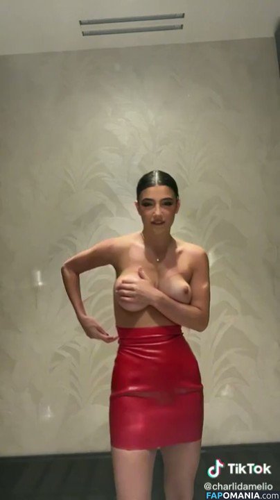 Charli D'Amelio / Charli Damelio / charlidamelio / charliesdamelio Nu OnlyFans  Foto vazada #72
