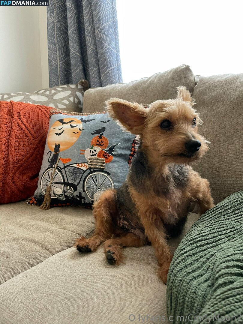 cindymoon007 / cindymoon7 Nu OnlyFans  Foto vazada #280