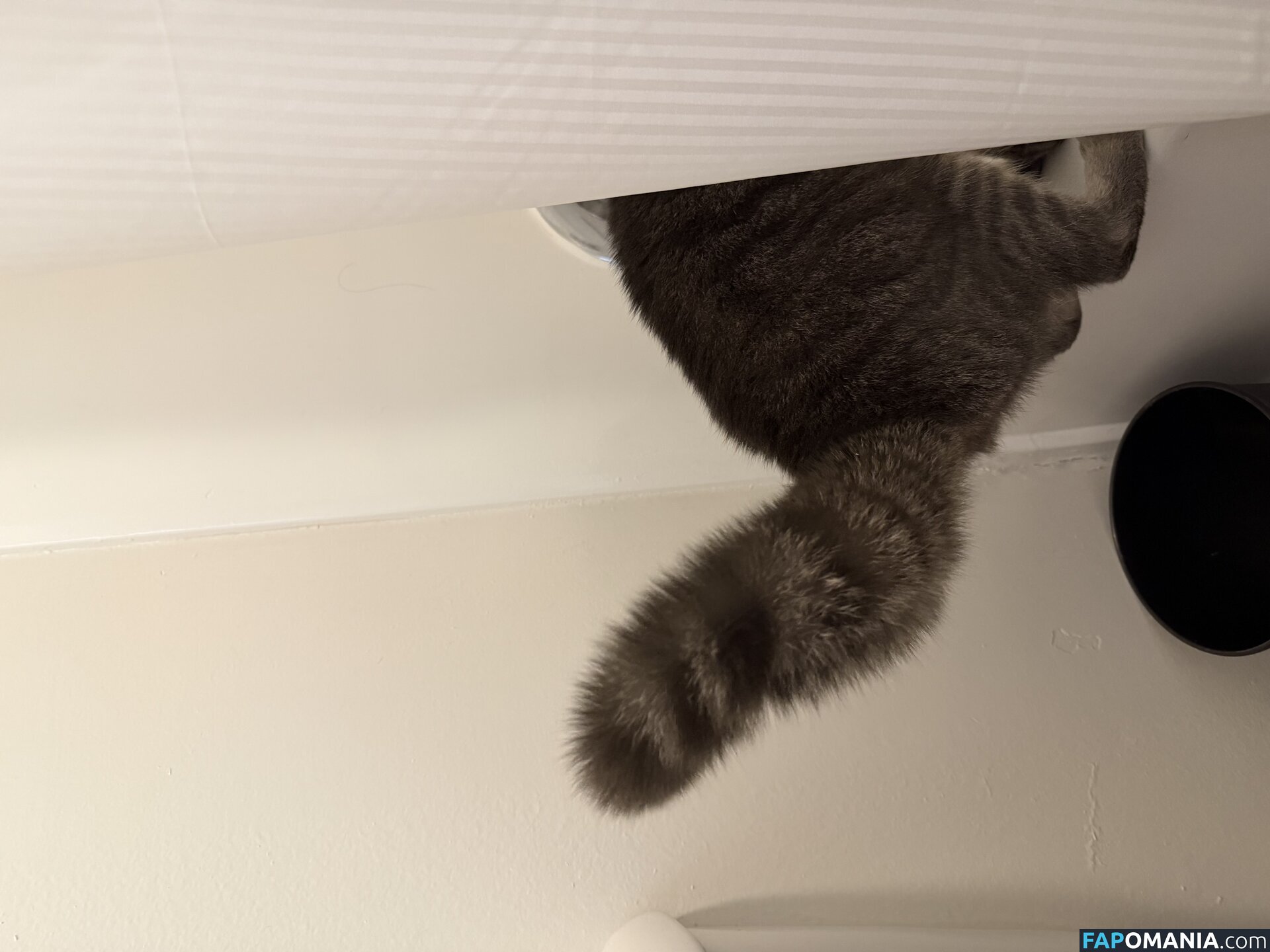 dahniks / dahnikz Nu OnlyFans  Foto vazada #15