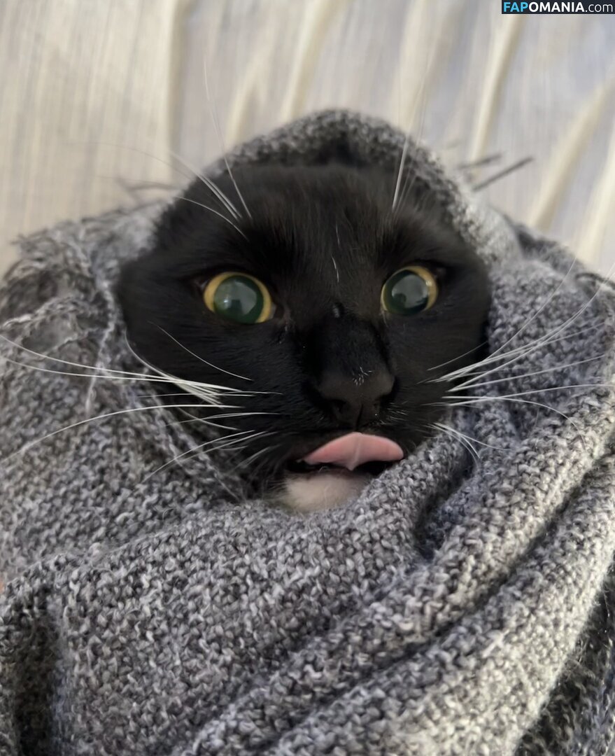 dahniks / dahnikz Nu OnlyFans  Foto vazada #19