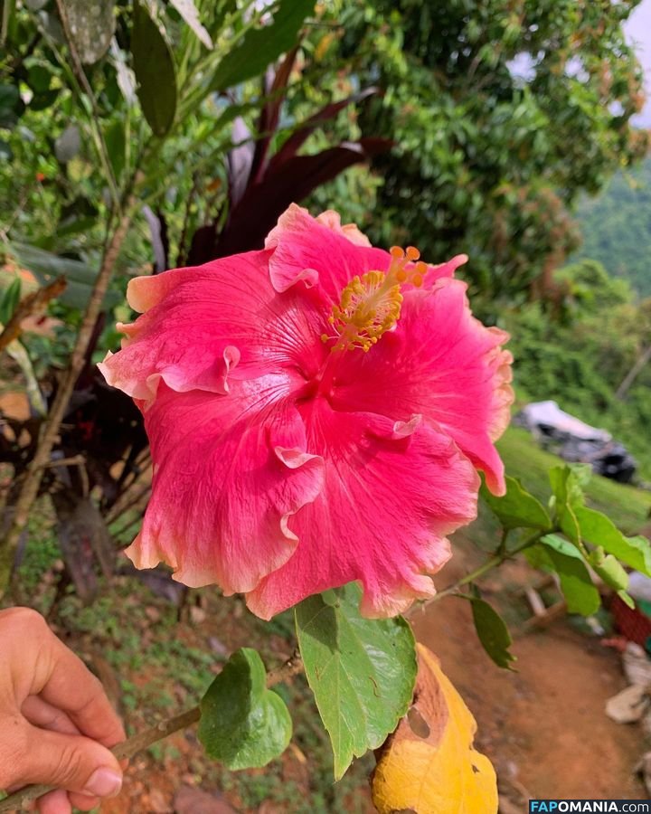 Erin Ashford / erinashford / erincaity Nu OnlyFans  Foto vazada #26