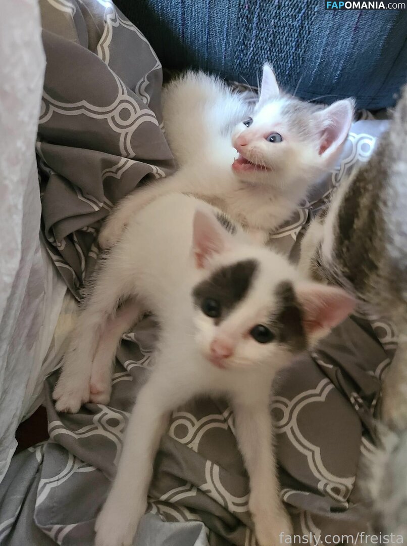 Freista / Tittykona / _mofreitas Nu OnlyFans  Foto vazada #16