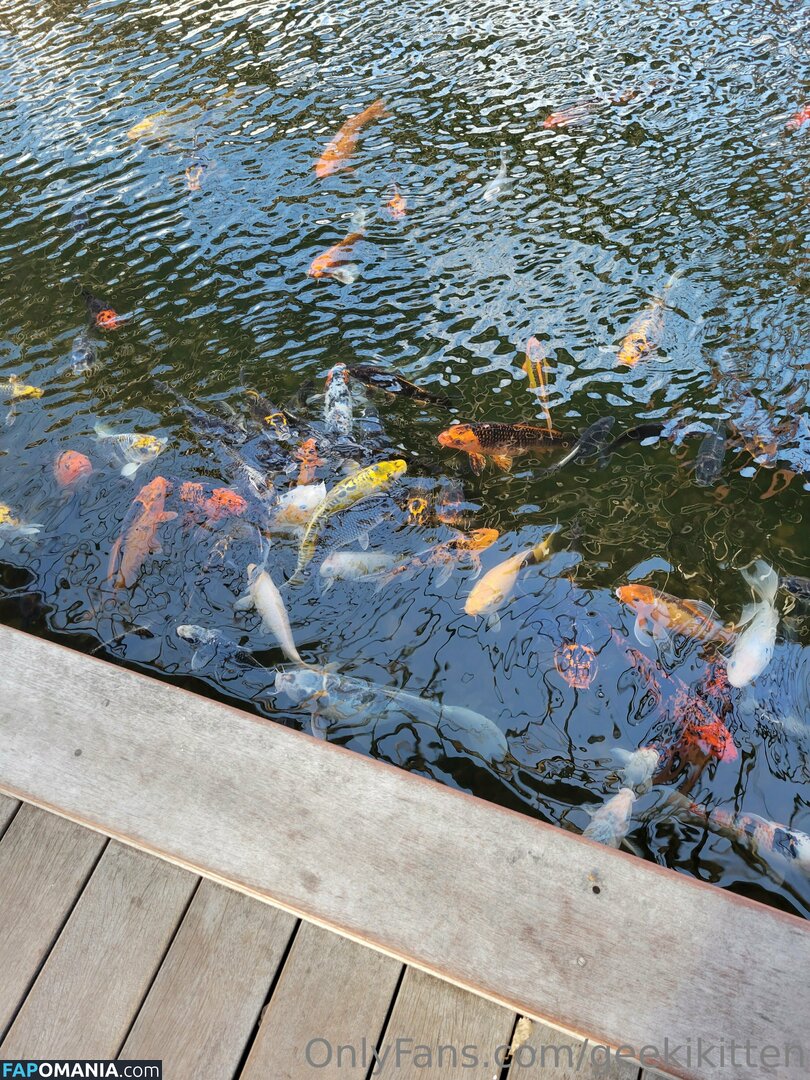 geekikitten / geekykittenxo Nu OnlyFans  Foto vazada #4