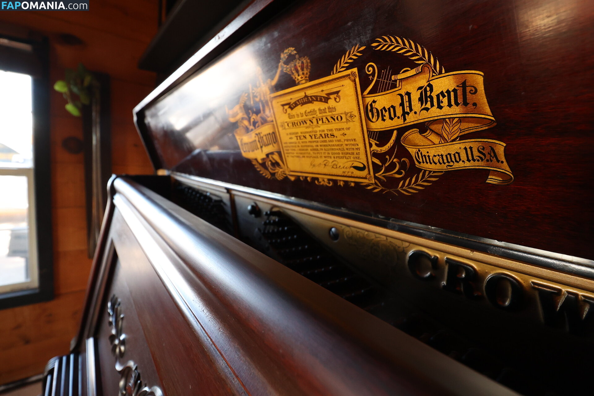 harlemhookup Nu OnlyFans  Foto vazada #20