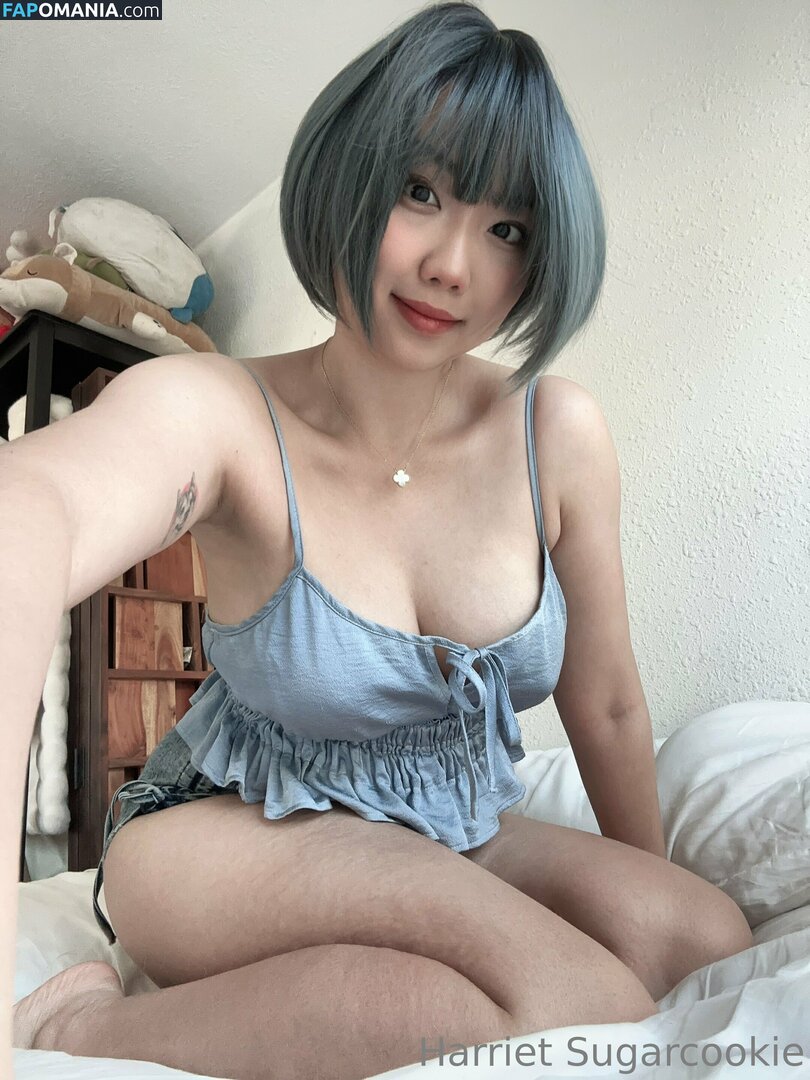 HSugarCookie / Harriet Sugarcookie / harrietsugarcookie / iamharrietsugarcookie Nu OnlyFans  Foto vazada #85