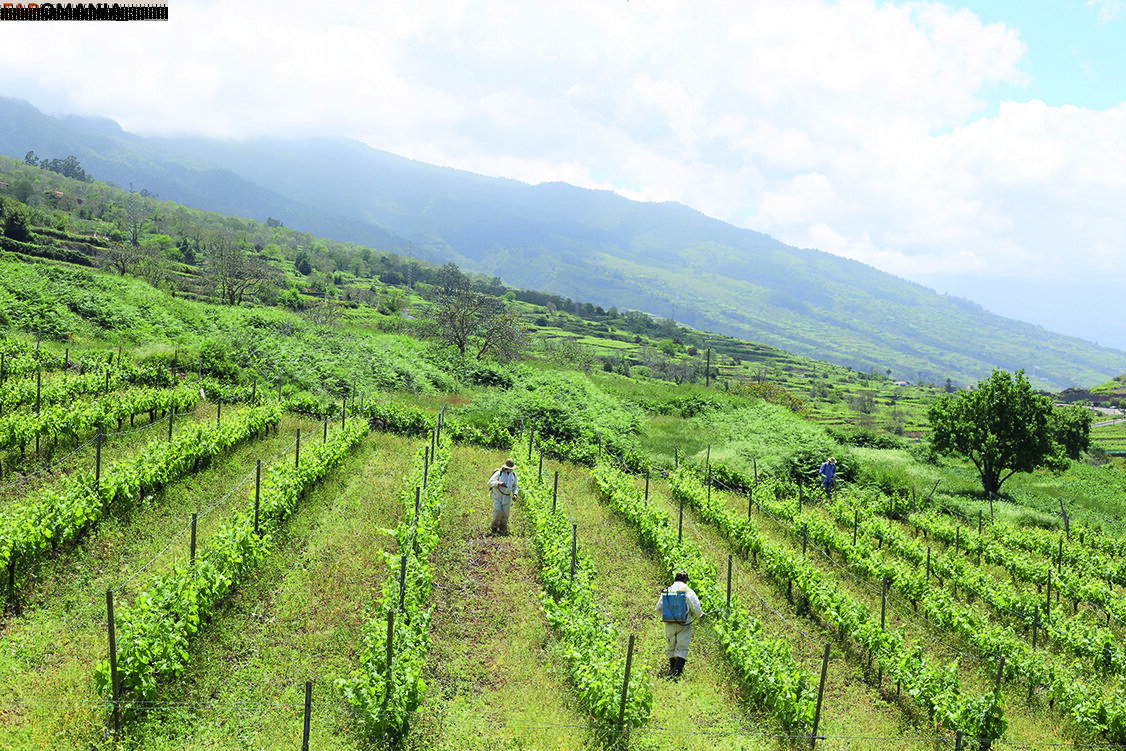 julia_lyn Nu OnlyFans  Foto vazada #10