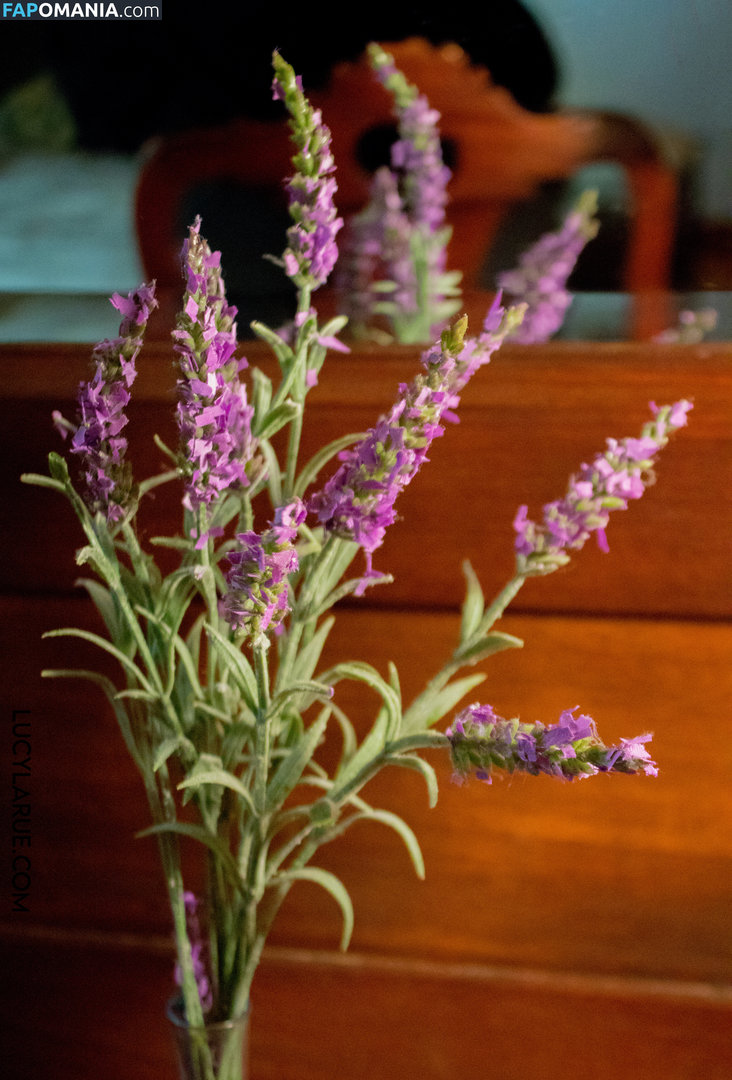 lucylarue / lucylaruesdailystyle Nu OnlyFans  Foto vazada #37