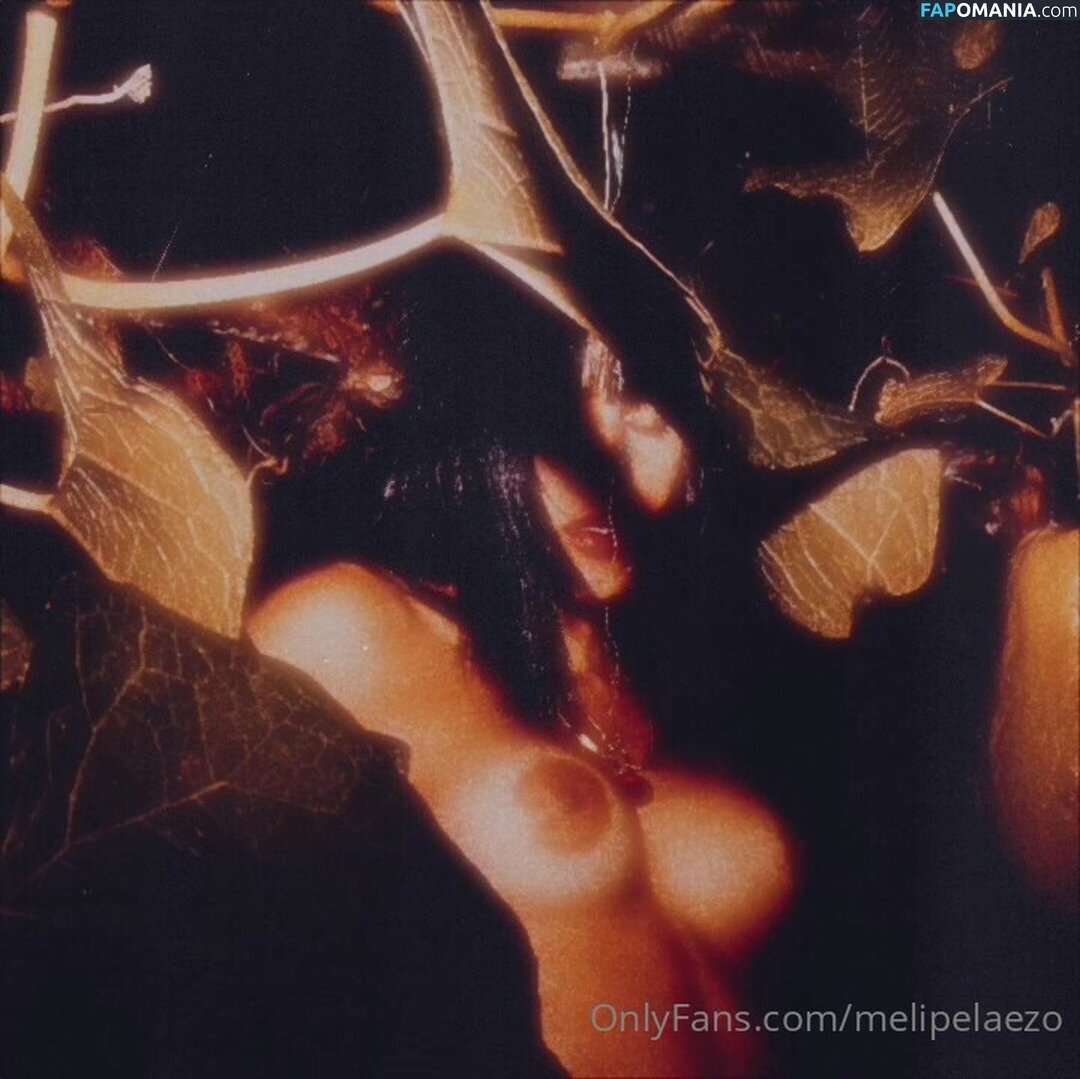 Meli Pelaez / melipelaezo Nu OnlyFans  Foto vazada #9