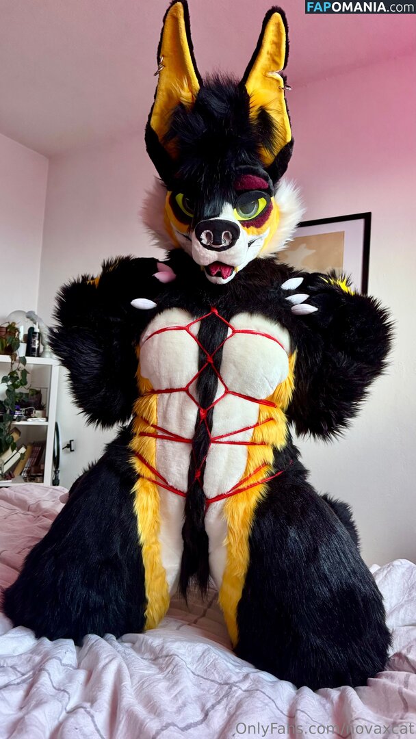 novaxcat / novaxxcat Nu OnlyFans  Foto vazada #1