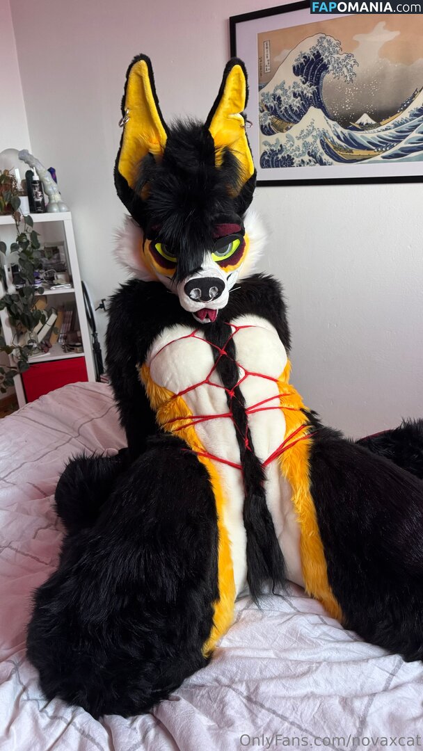 novaxcat / novaxxcat Nu OnlyFans  Foto vazada #2