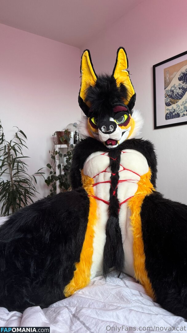 novaxcat / novaxxcat Nu OnlyFans  Foto vazada #3