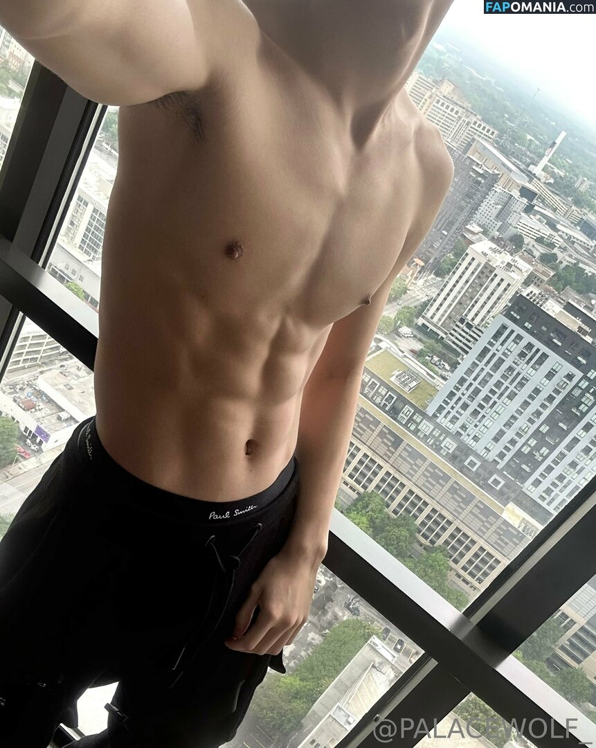 palacewolf / palacewolfent Nu OnlyFans  Foto vazada #4