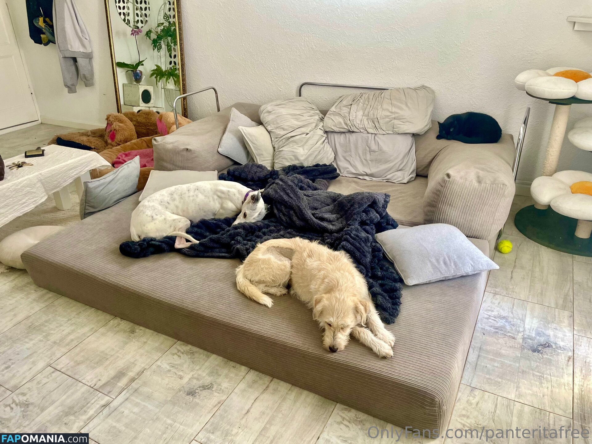 panteritafree Nu OnlyFans  Foto vazada #6