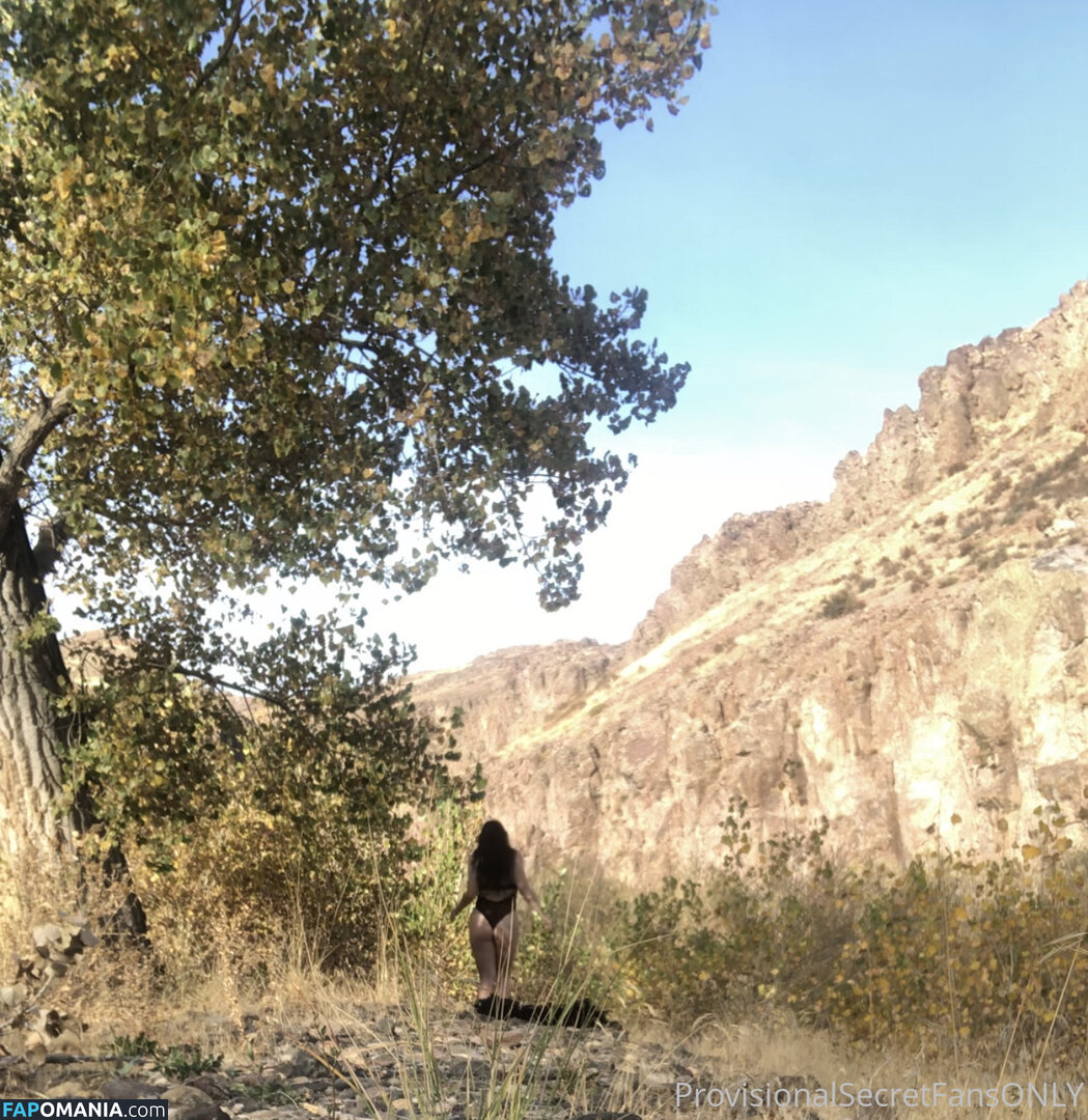 playfulsecret / provisionalsecret Nu OnlyFans  Foto vazada #1