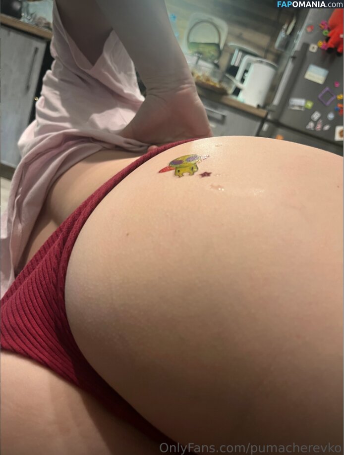 Margarita / Puma Cherevko / pumacherevko Nu OnlyFans  Foto vazada #17