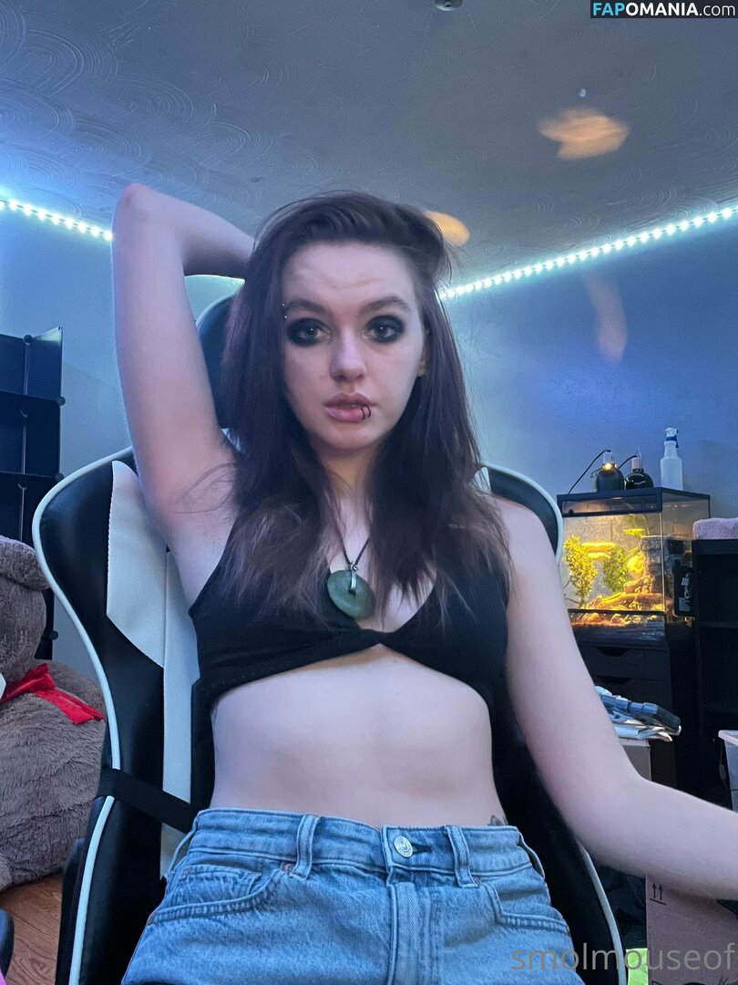 smolmouse8 / smolmouseof Nu OnlyFans  Foto vazada #46