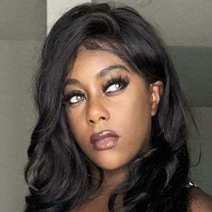 VIPPandaVII