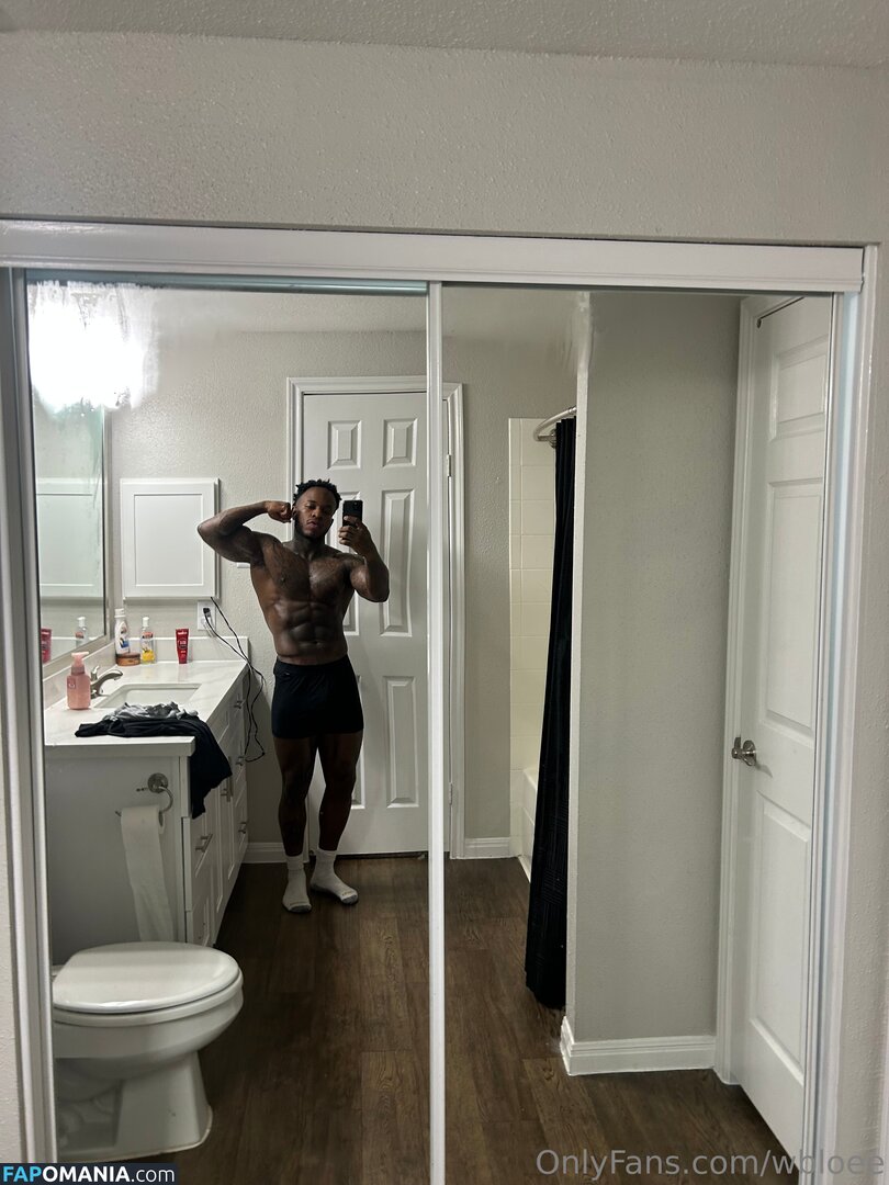 wb_loe / wbloee Nu OnlyFans  Foto vazada #1