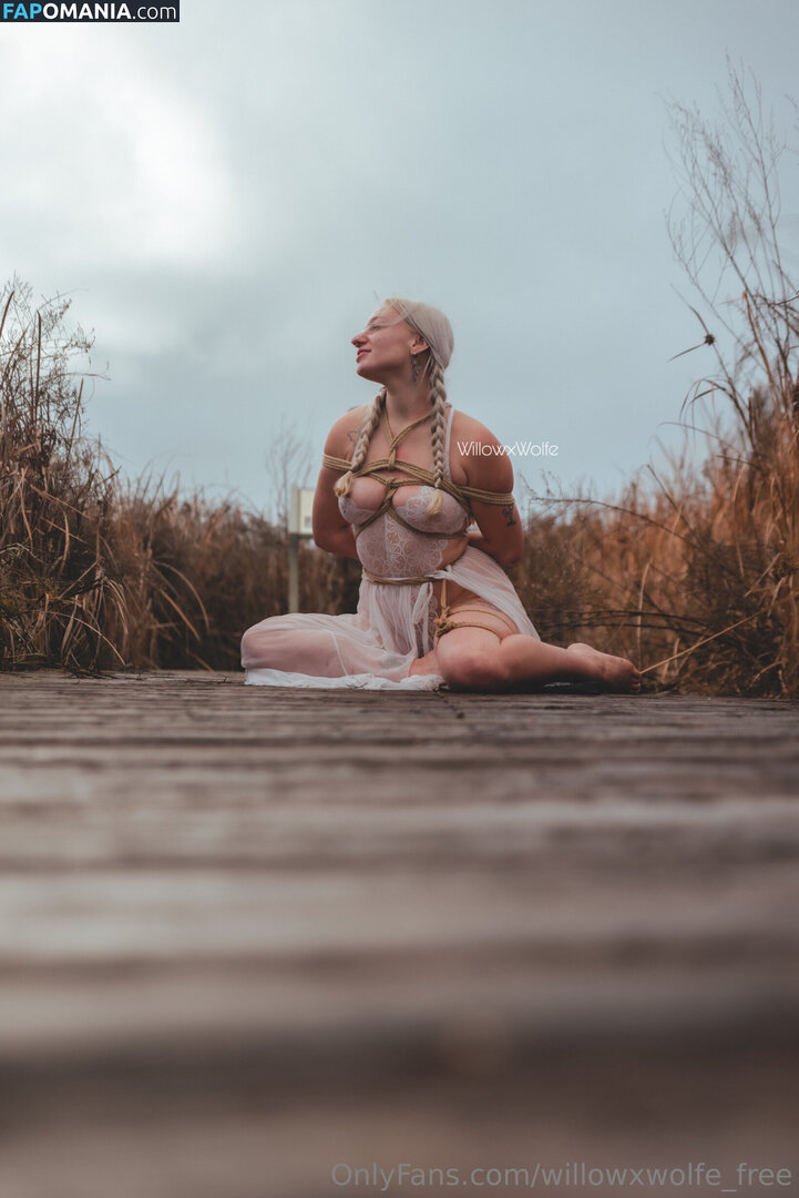 willowxwolfe / willowxwolfe_free Nu OnlyFans  Foto vazada #11
