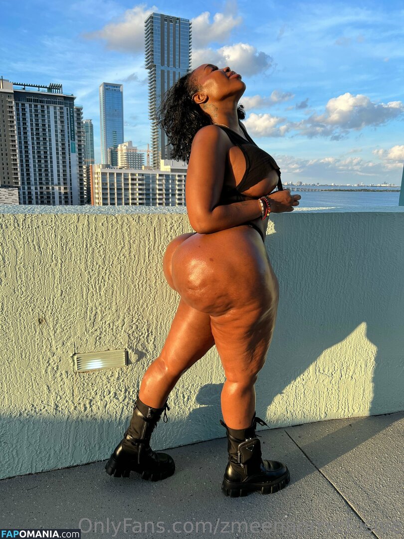 zmeenaorr / zmeenaorrxclusive Nu OnlyFans  Foto vazada #12
