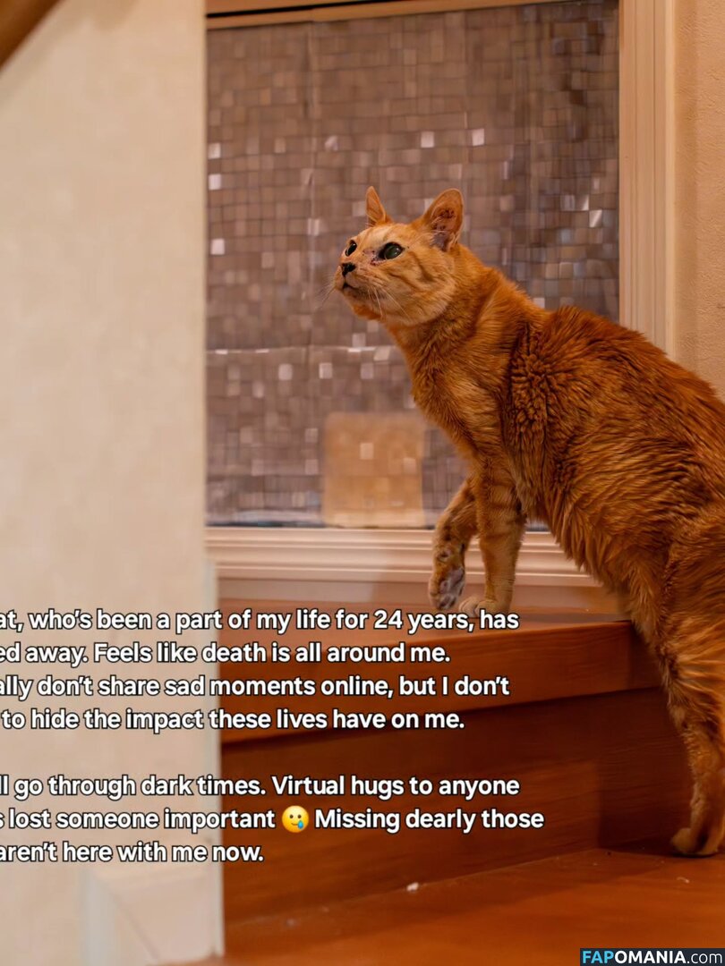 Zumi / zestyzumi Nu OnlyFans  Foto vazada #120